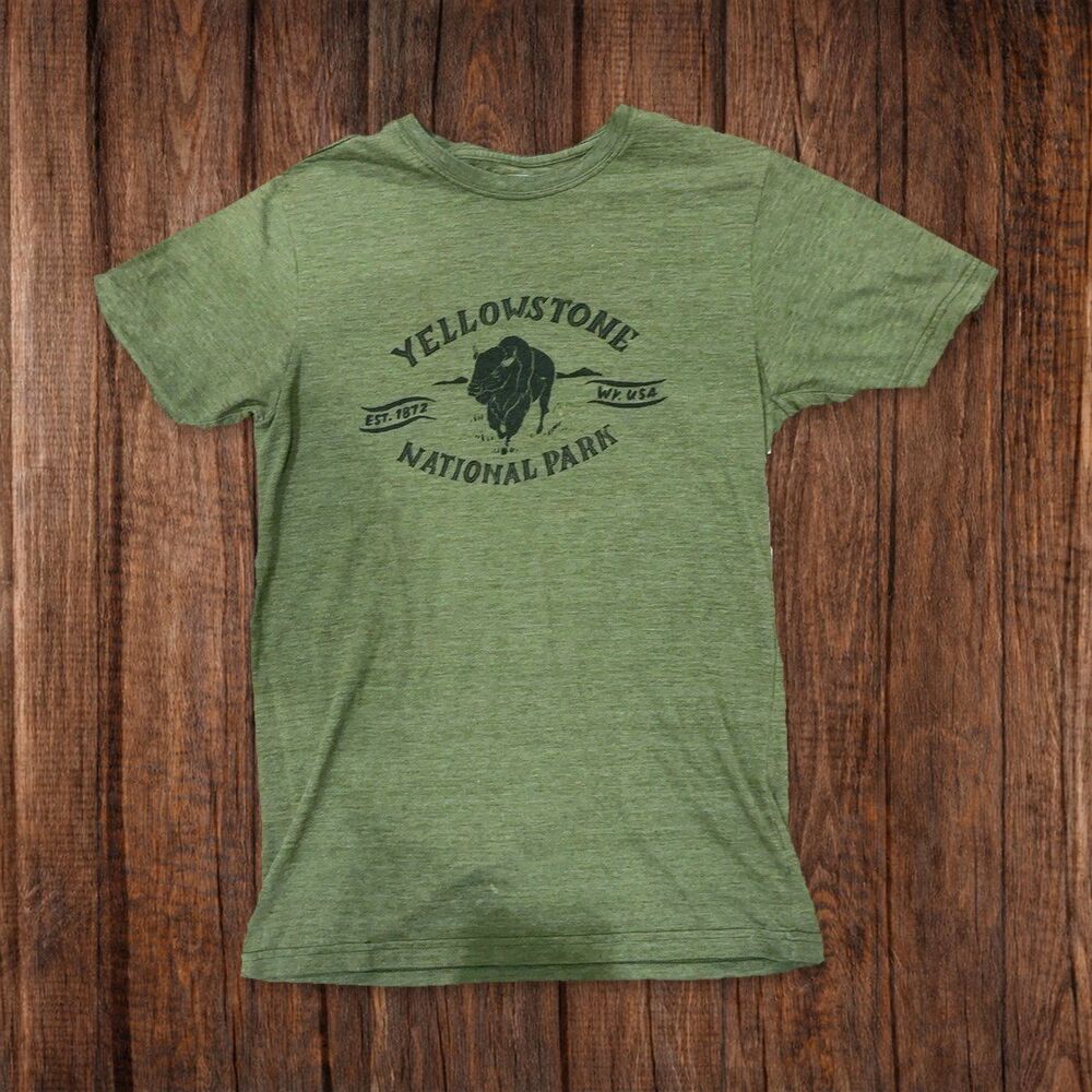 The North FacThe North Face - Yellowstone National Park Bison Graphic T-Shirt, S